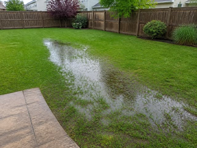 Standing water and pooling in a Dallas backyard — solved by French drain